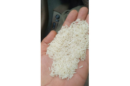 خرید و فروش برنج شمال در گرگان