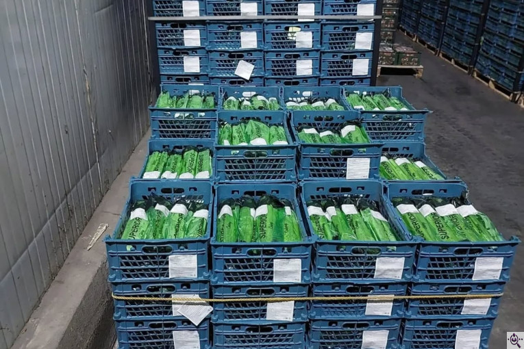 صادرات صیفی جات محمد استاد در دزفول