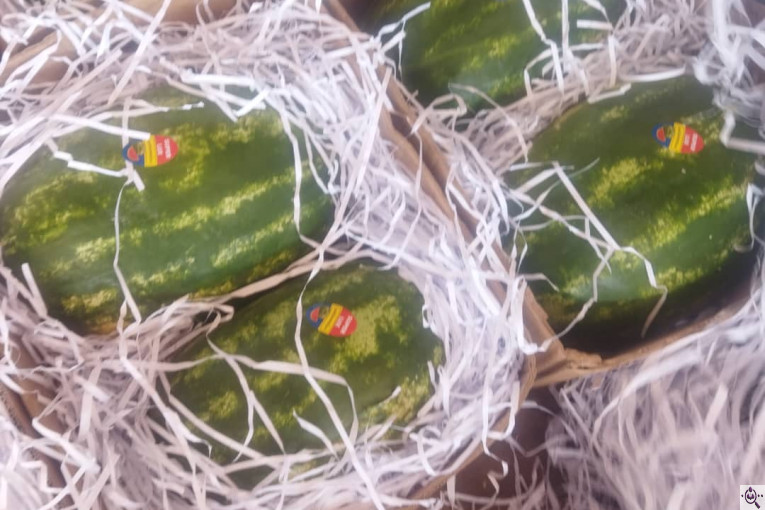 صادرات صیفی جات محمد استاد در دزفول