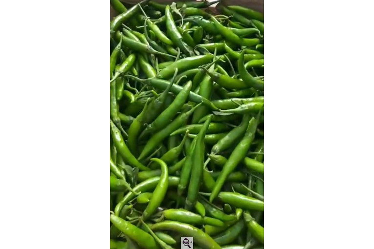 میدان تره بار رضایی در بوکان