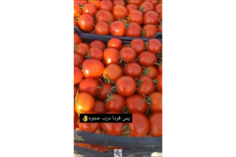 میدان تره بار رضایی در بوکان