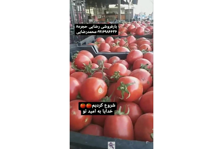 میدان تره بار رضایی در بوکان