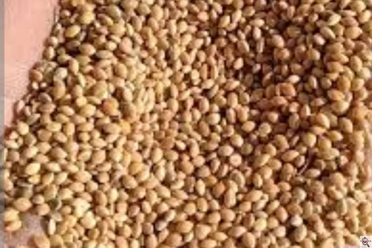 ترخیص کالا در لطف آباد خراسان مرتضی خالقی