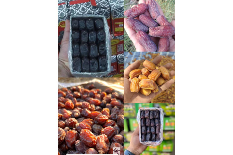 ترخیص کالا در لطف آباد خراسان مرتضی خالقی