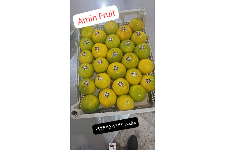 ترخیص کالا در لطف آباد خراسان مرتضی خالقی