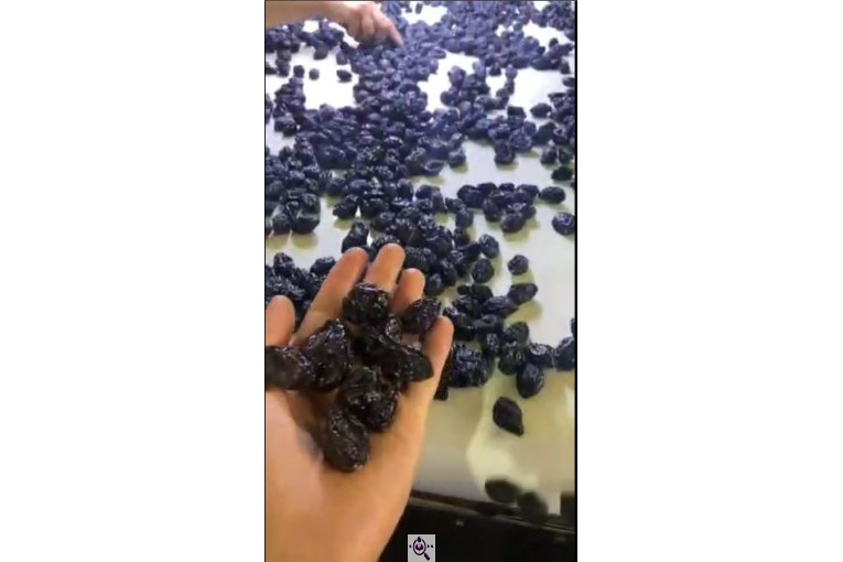 ترخیص کالا در لطف آباد خراسان مرتضی خالقی