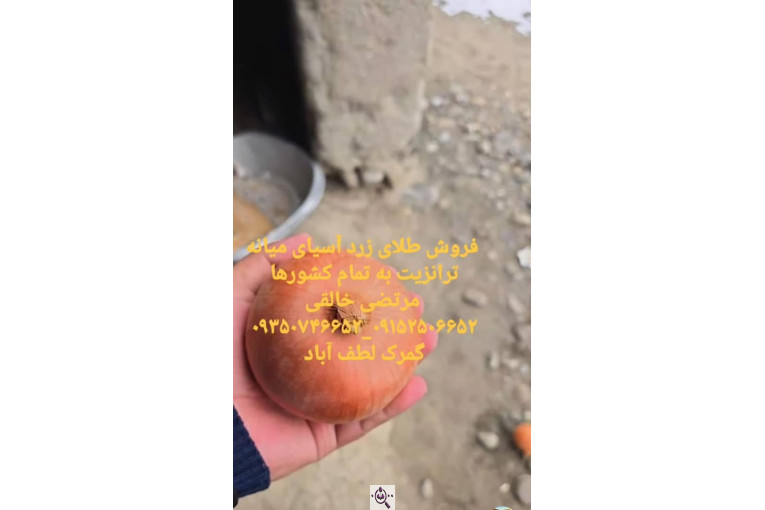 ترخیص کالا در لطف آباد خراسان مرتضی خالقی