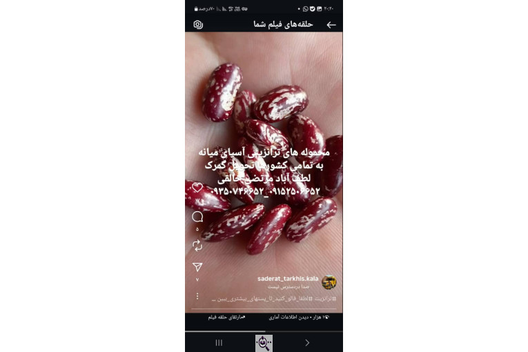 ترخیص کالا در لطف آباد خراسان مرتضی خالقی