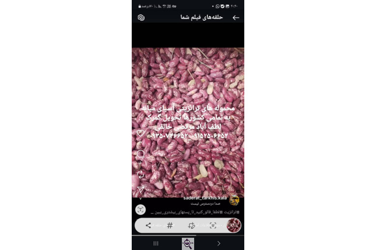 ترخیص کالا در لطف آباد خراسان مرتضی خالقی