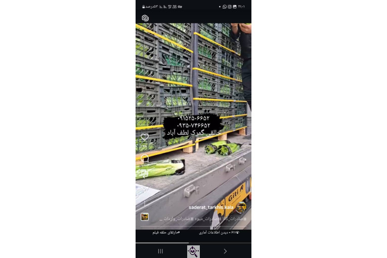 ترخیص کالا در لطف آباد خراسان مرتضی خالقی