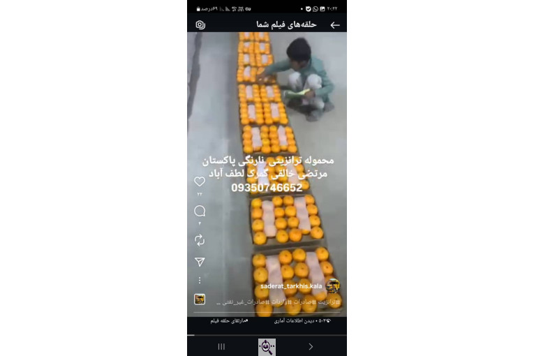 ترخیص کالا در لطف آباد خراسان مرتضی خالقی