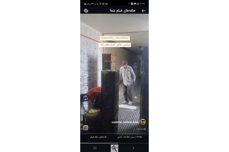 ترخیص کالا در لطف آباد خراسان مرتضی خالقی