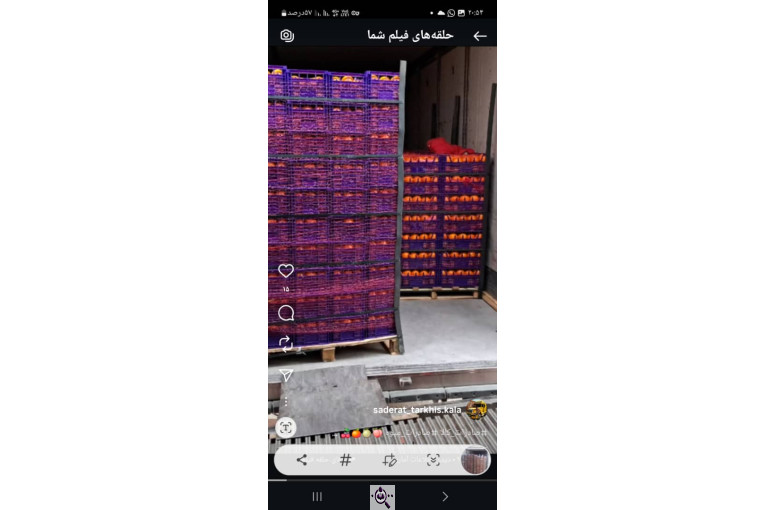 ترخیص کالا در لطف آباد خراسان مرتضی خالقی