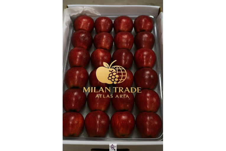 میلان تجارت اطلس آریا