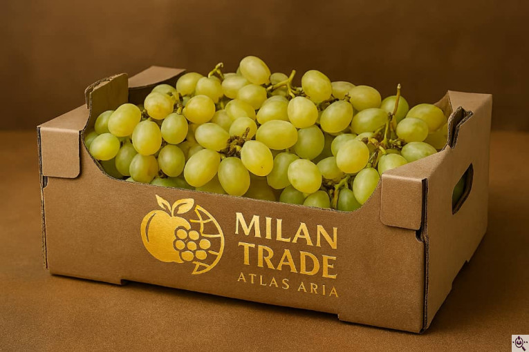 میلان تجارت اطلس آریا