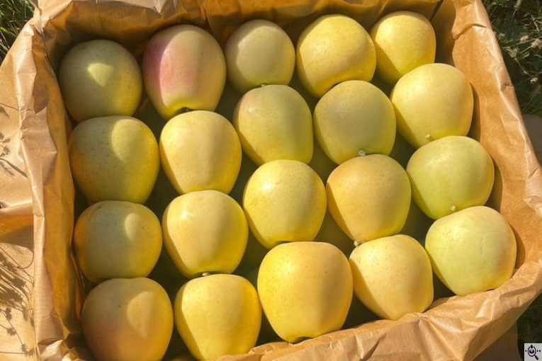 میلان تجارت اطلس آریا