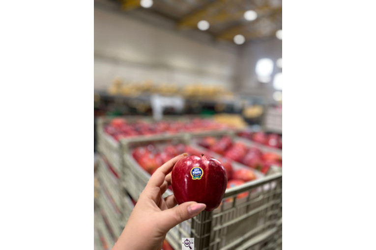 میلان تجارت اطلس آریا