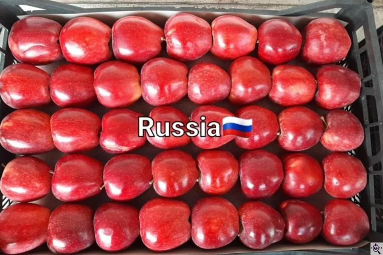 میلان تجارت اطلس آریا