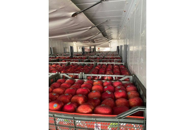 میلان تجارت اطلس آریا