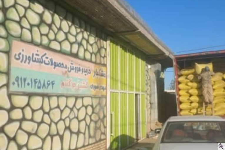 صادرات تخم گشنیز مهدی سوری در نهاوند