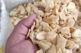 پخش عمده خاکشیر ورازیانه همدان