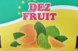 سورتینگ پارس میوه دز (دز فروت) در خوزستان