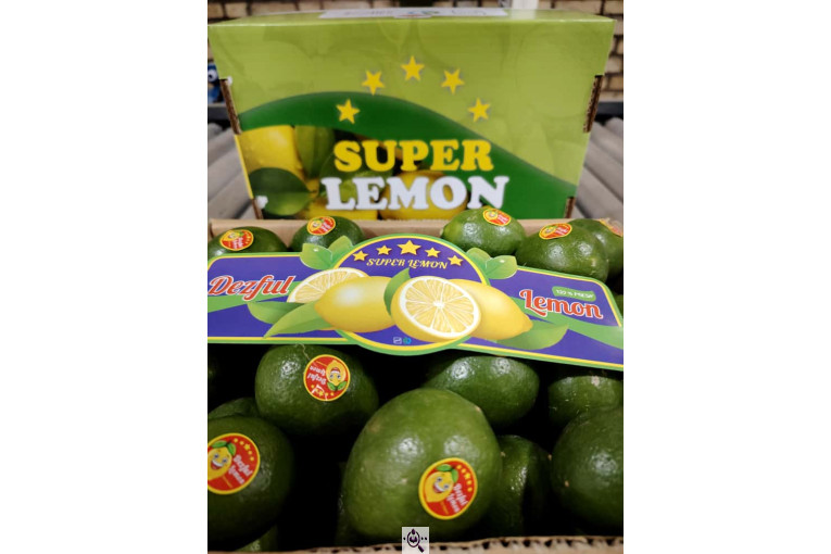 سورتینگ پارس میوه دز (دز فروت) در خوزستان