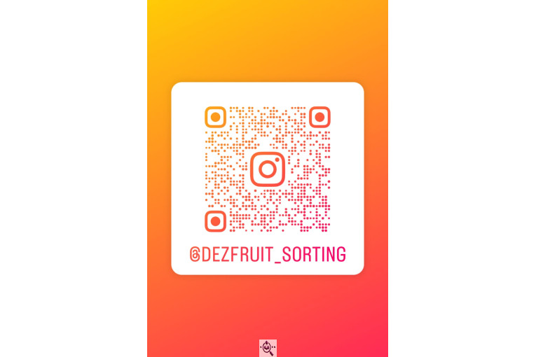 سورتینگ پارس میوه دز (دز فروت) در خوزستان