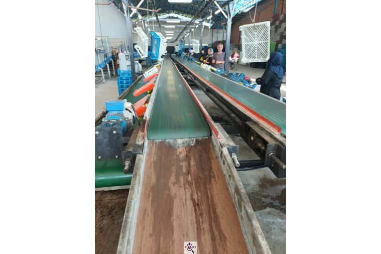 سورتینگ و بسته بندی برادران تازه منش در مازندران