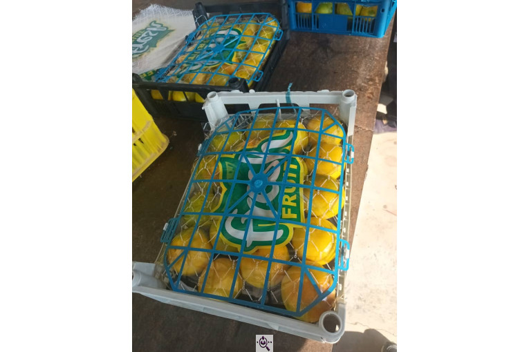 سورتینگ و بسته بندی برادران تازه منش در مازندران