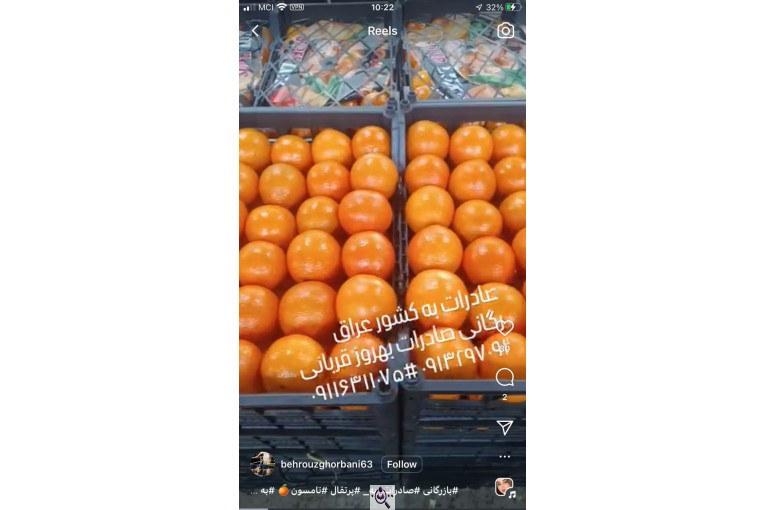 بازرگانی و صادرات میوه و تره بار بهروز قربانی در ایران