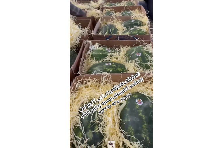 بازرگانی و صادرات میوه و تره بار بهروز قربانی در ایران