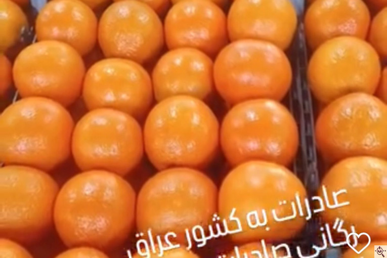 بازرگانی و صادرات میوه و تره بار بهروز قربانی در ایران