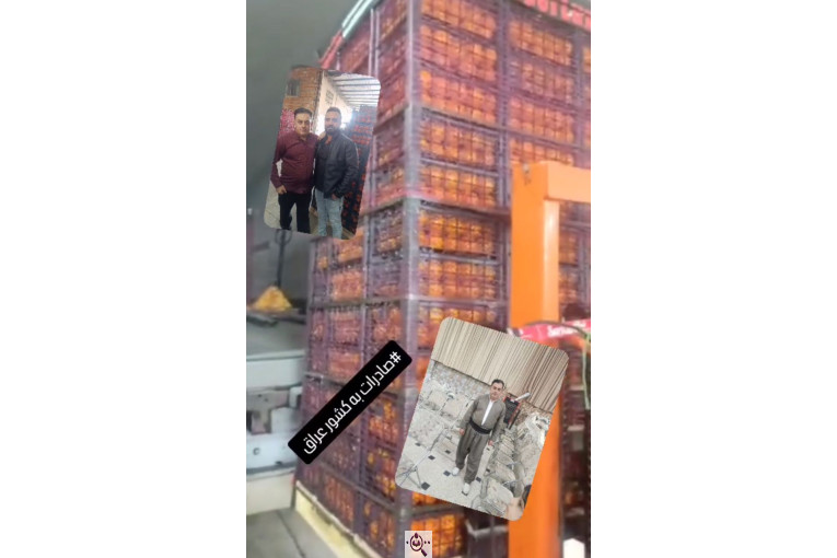 بازرگانی و صادرات میوه و تره بار بهروز قربانی در ایران