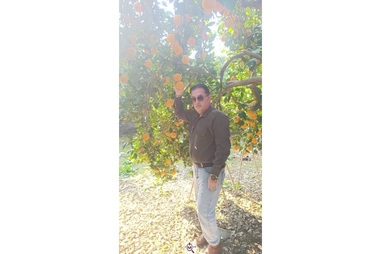 بازرگانی و صادرات میوه و تره بار بهروز قربانی در ایران