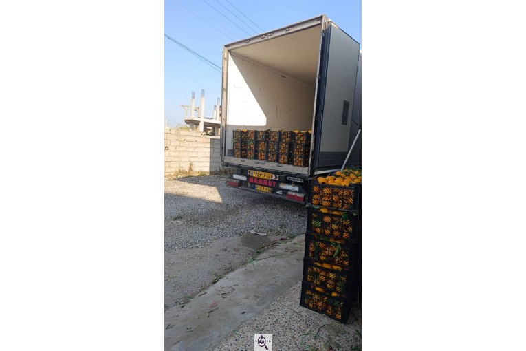 بازرگانی و صادرات میوه و تره بار بهروز قربانی در ایران