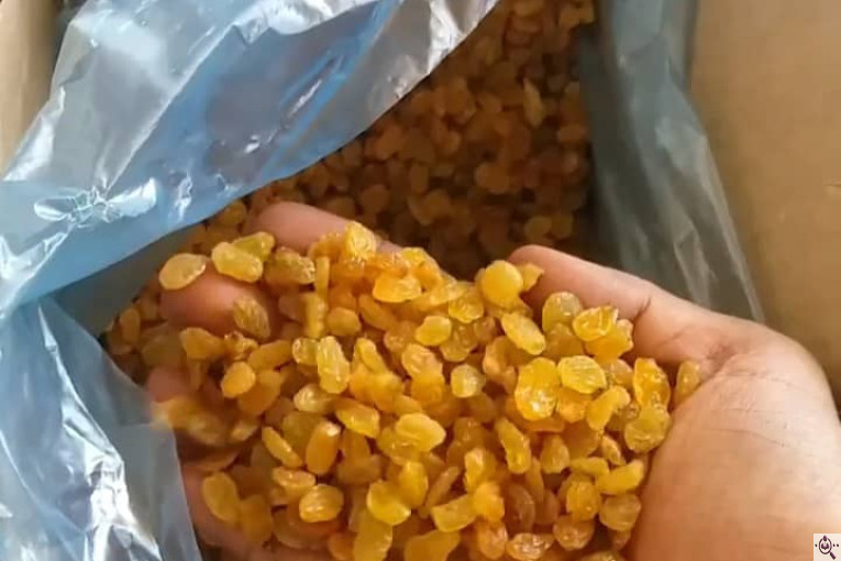 بهترین کشمش در ملکان آذربایجان شرقی