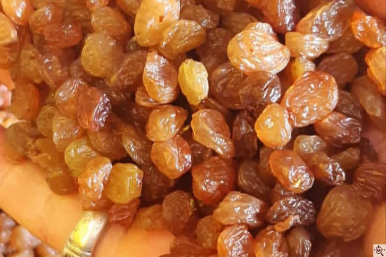 بهترین کشمش در ملکان آذربایجان شرقی