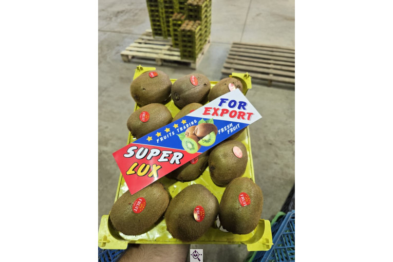 تامین کننده محصولات کشاورزی دایان فروت تریدینگ