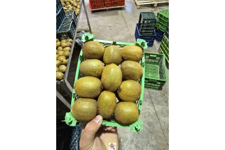 تامین کننده محصولات کشاورزی دایان فروت تریدینگ