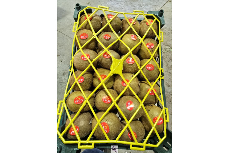 تامین کننده محصولات کشاورزی دایان فروت تریدینگ