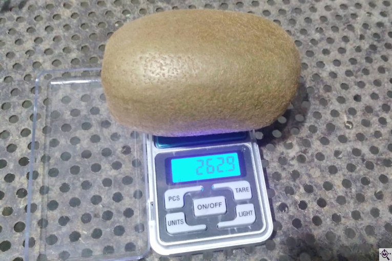 تامین کننده محصولات کشاورزی دایان فروت تریدینگ