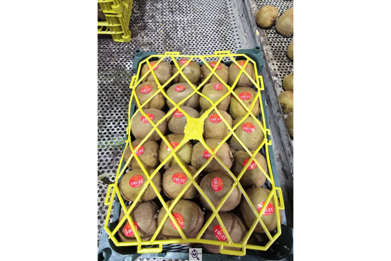 تامین کننده محصولات کشاورزی دایان فروت تریدینگ