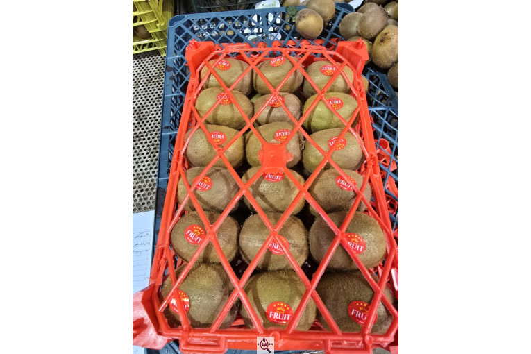 تامین کننده محصولات کشاورزی دایان فروت تریدینگ