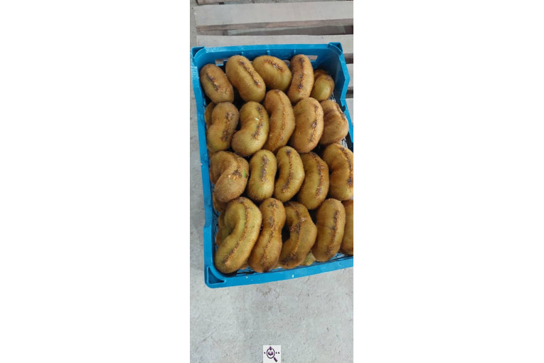 صادرات و سورتینگ میوه تجارت مانی فروت در تالش