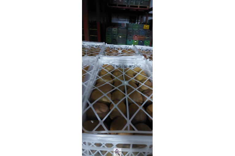 صادرات و سورتینگ میوه تجارت مانی فروت در تالش