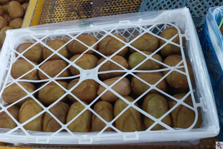 صادرات و سورتینگ میوه تجارت مانی فروت در تالش