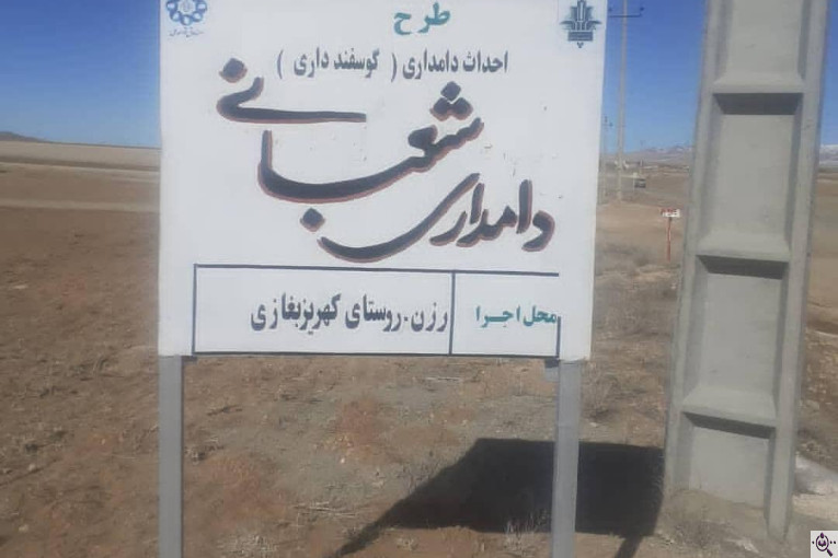دامداری شعبانی در همدان