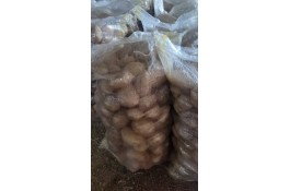 محصولات کشاورزی عمران زارع در ایران