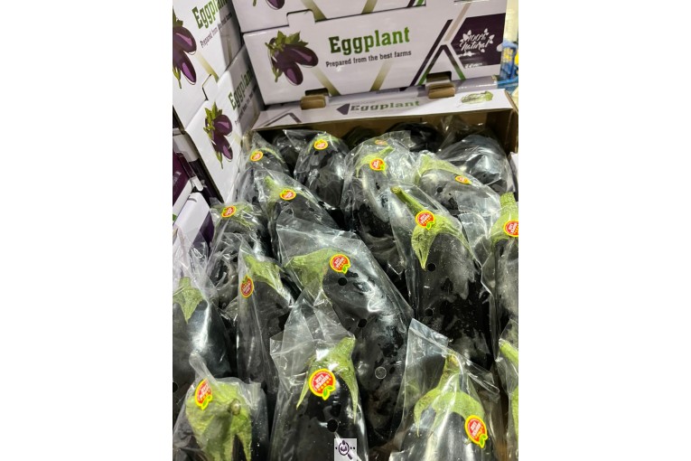 محصولات کشاورزی عمران زارع در ایران